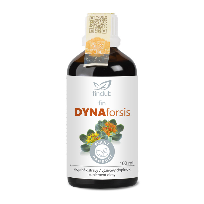 fin Dynaforsis