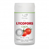 fin Lycoforscaps fin Lycoforscaps